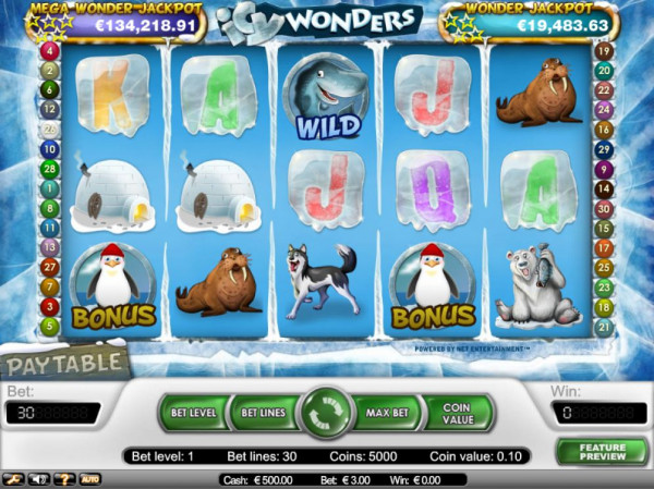 Icy Wonders Screenshot